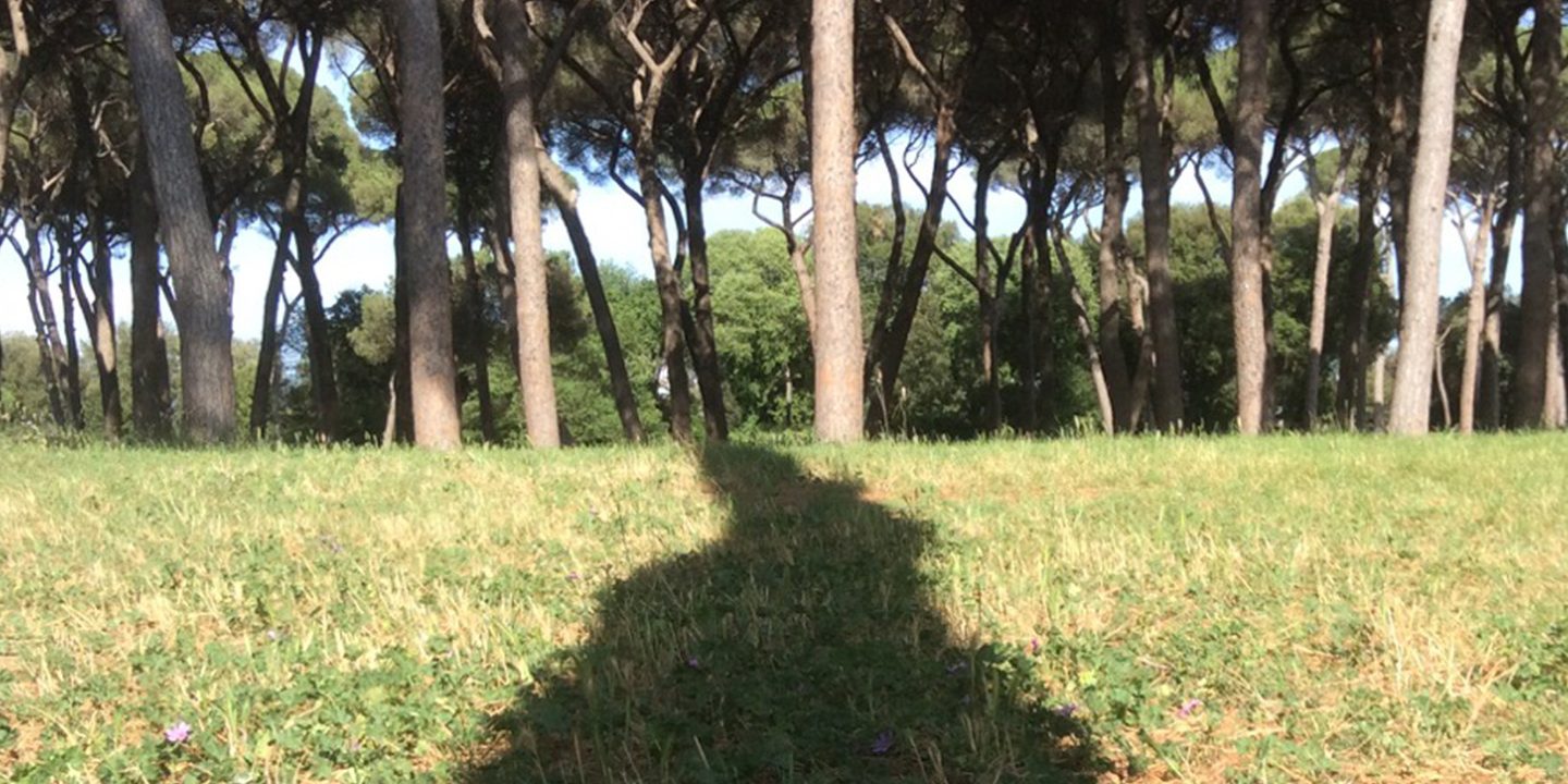 AL19_Blog_ScuolaNelBosco