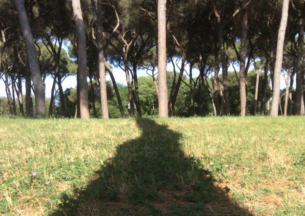 AL19_Blog_ScuolaNelBosco