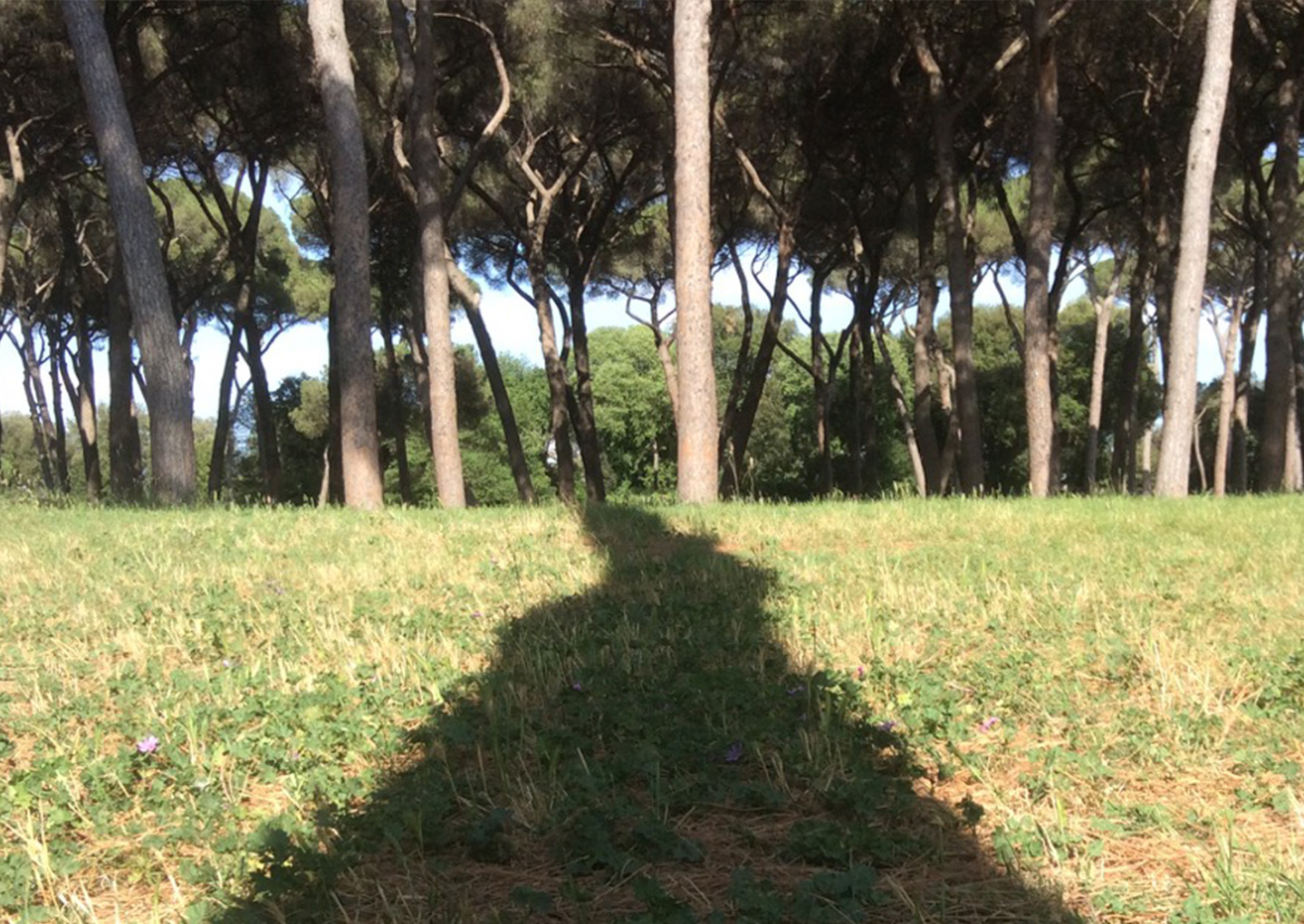 AL19_Blog_ScuolaNelBosco